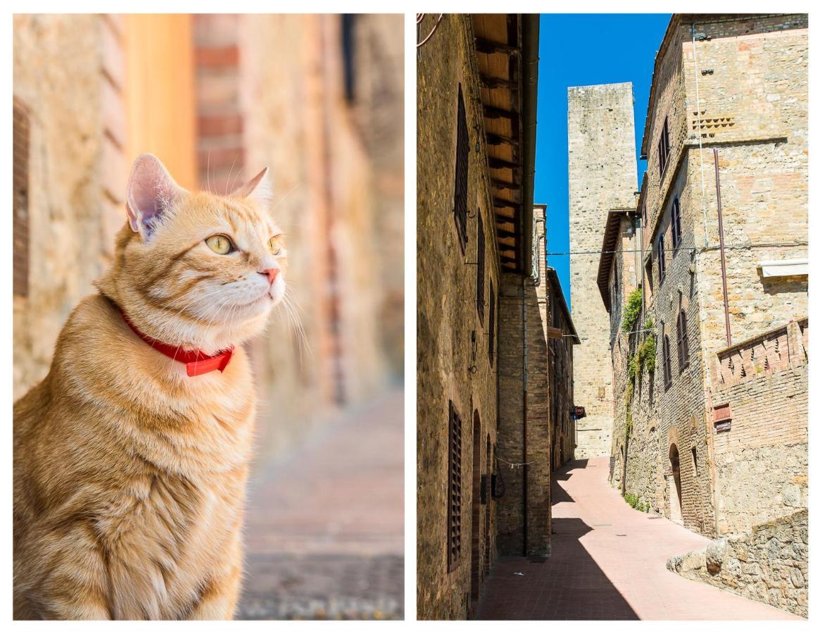 Apartamento Il Capitello San Gimignano Exterior foto
